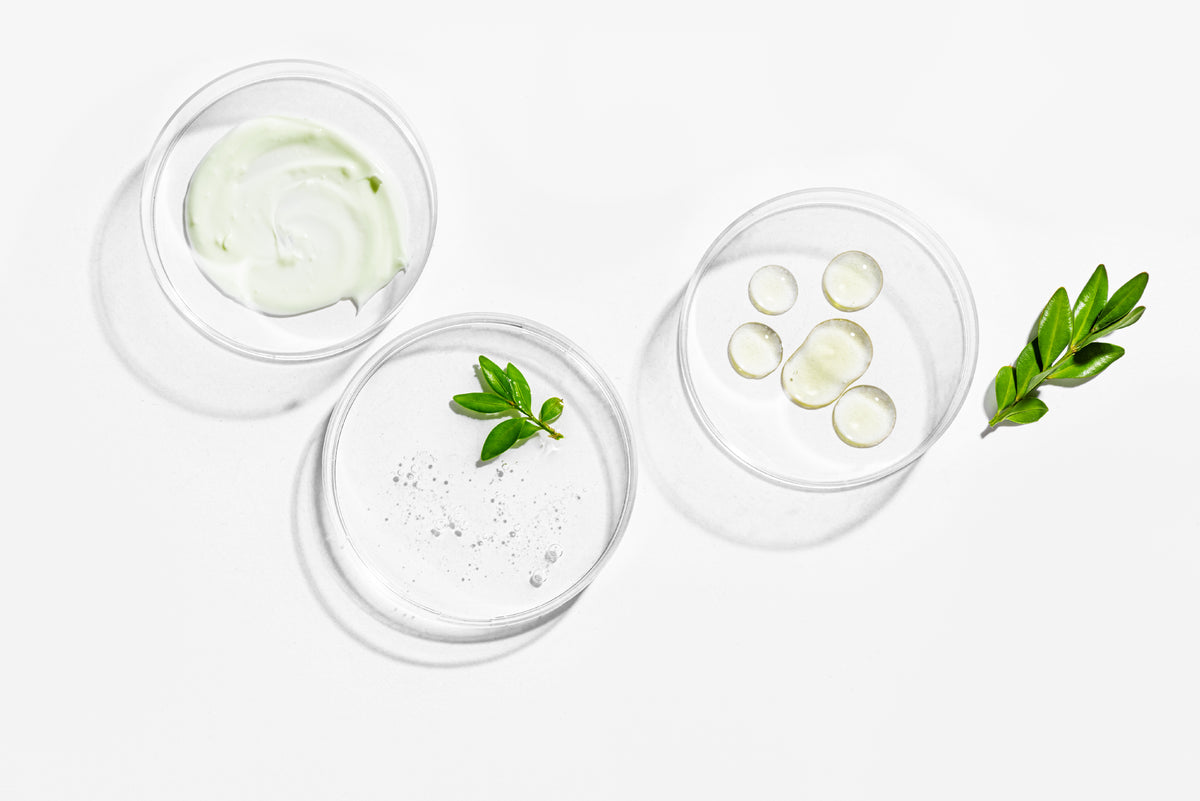 Prebiotics