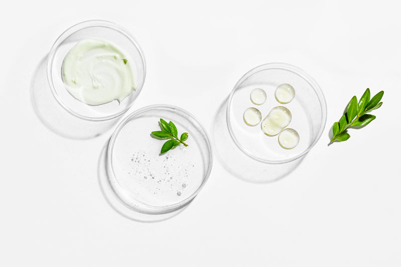 Prebiotics